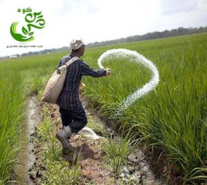 قیمت روز کود سولفات آمونیوم