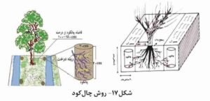 قیمت روز کود سولفات آمونیوم