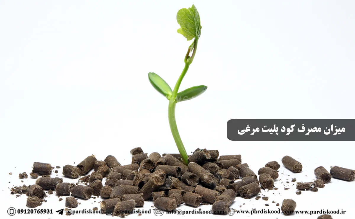 خرید کود پلیت مرغی درب کارخانه مشهد