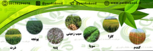 قیمت روز کود سولفات آمونیوم