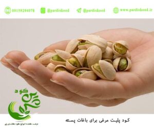کود پلیت مرغی برای پسته