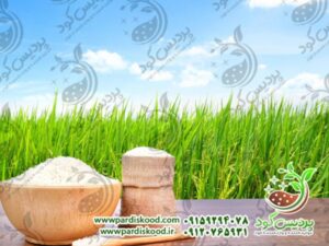 کود سولفات آمونیوم ازبک