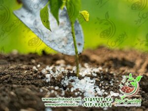 فروش سولفات آمونیوم