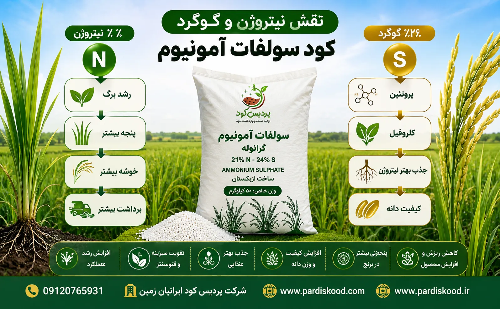 کود سولفات آمونیوم برای برنج
