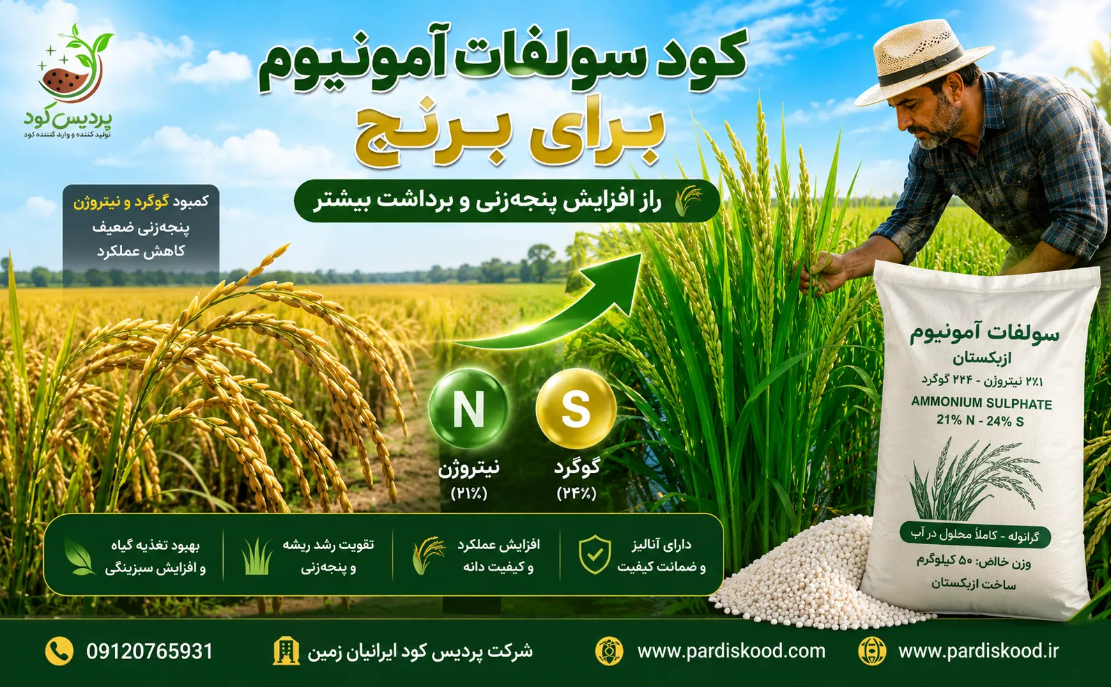 کود سولفات آمونیوم برای برنج
