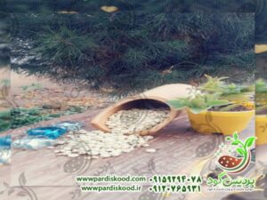 گوگرد ۷۵ درصد بنتونیت دار