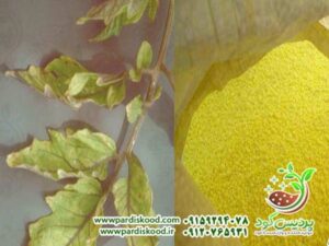 گوگرد میکرونیزه