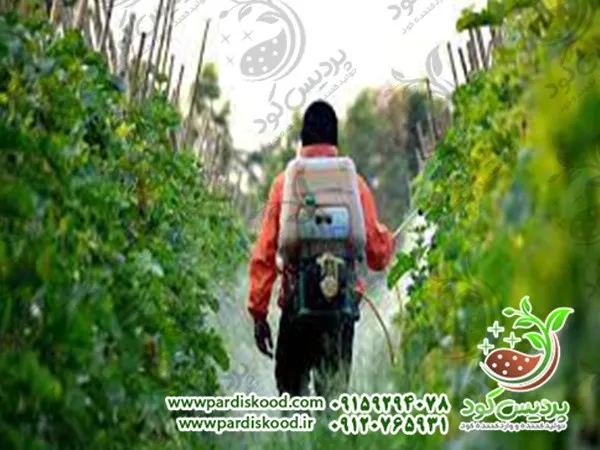 کود گوگرد انگور