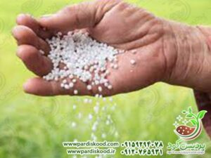 قیمت کود شیمیایی