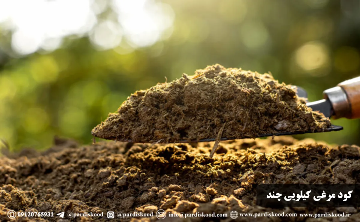 کود مرغی کیلویی چند