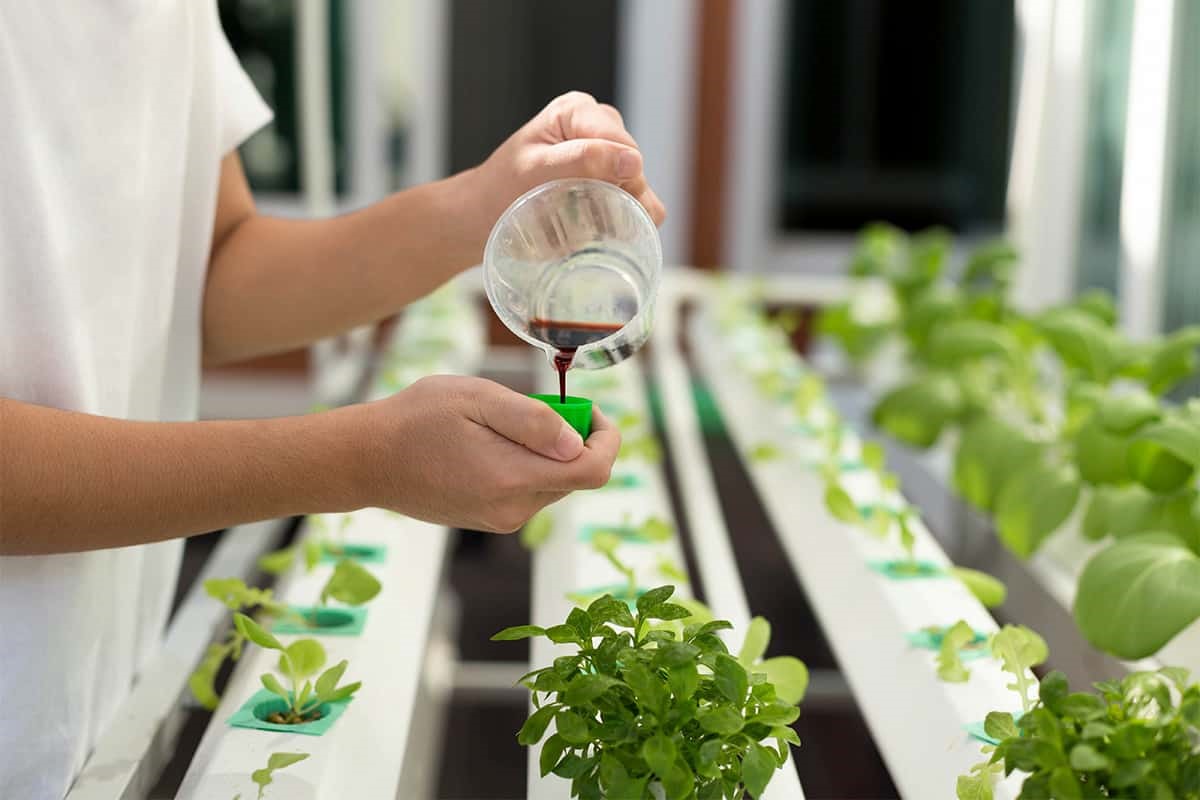 کود گوگرد مایع