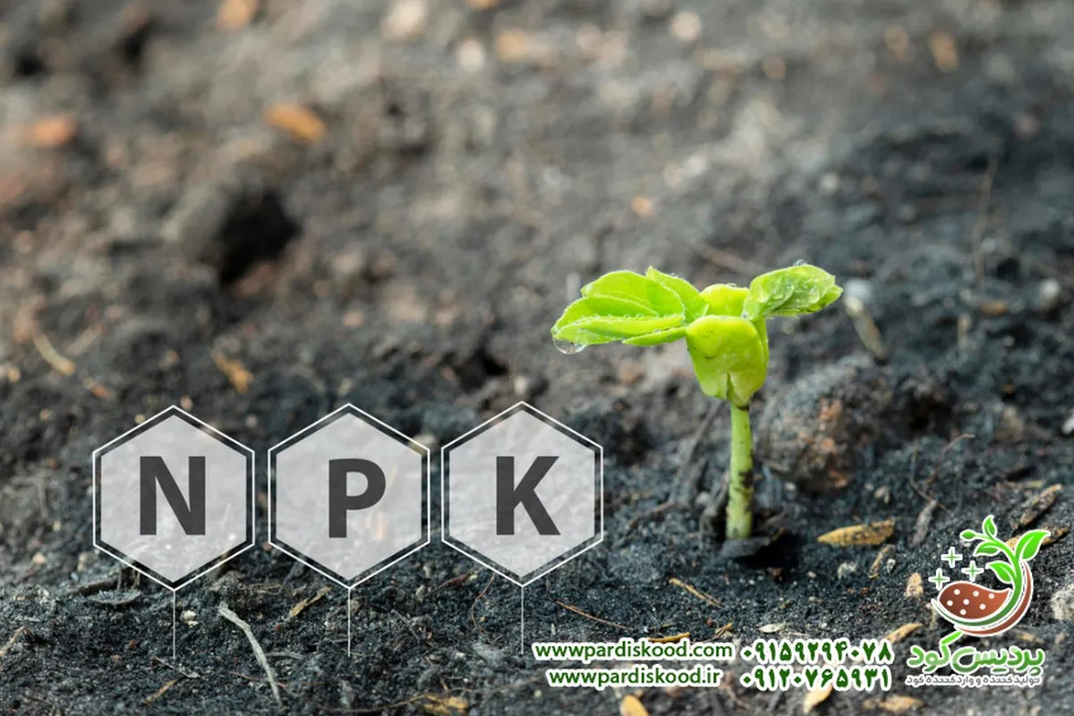 کود npk 12 12 36