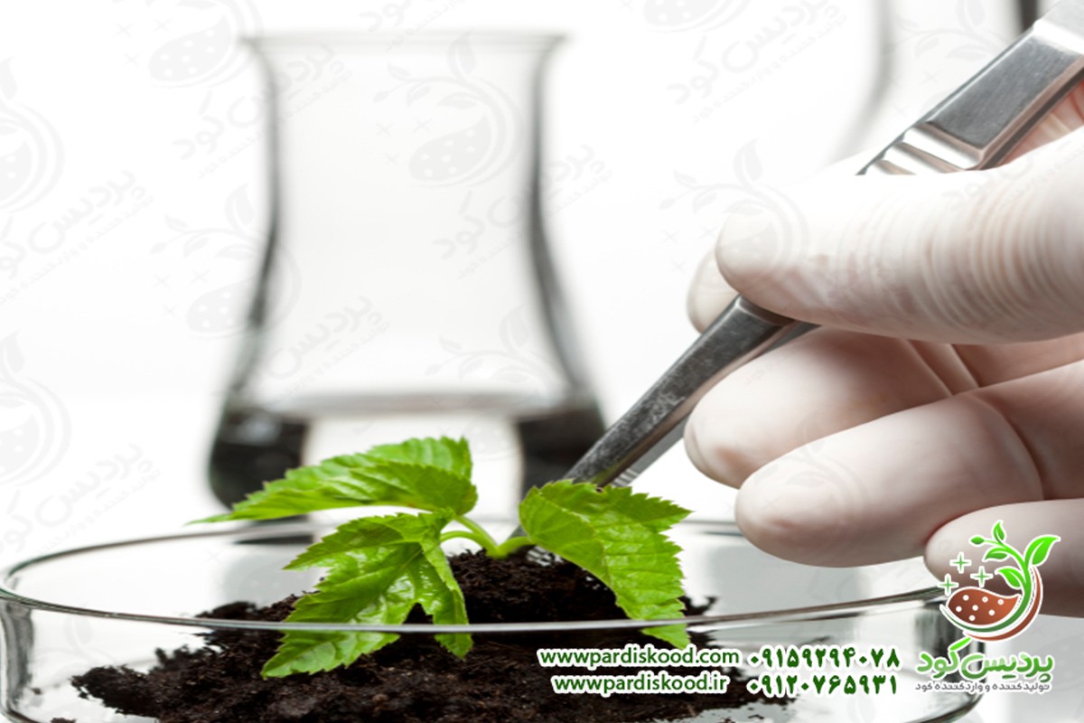 بهترین کود گوگرد کشاورزی