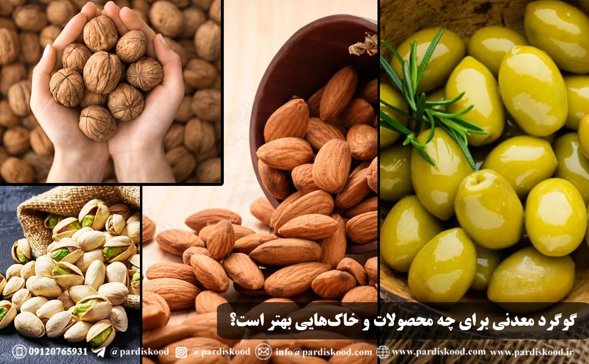 گوگرد معدنی بهتر است یا پالایشگاهی