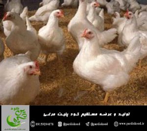 تولید کننده کود پلیت مرغی