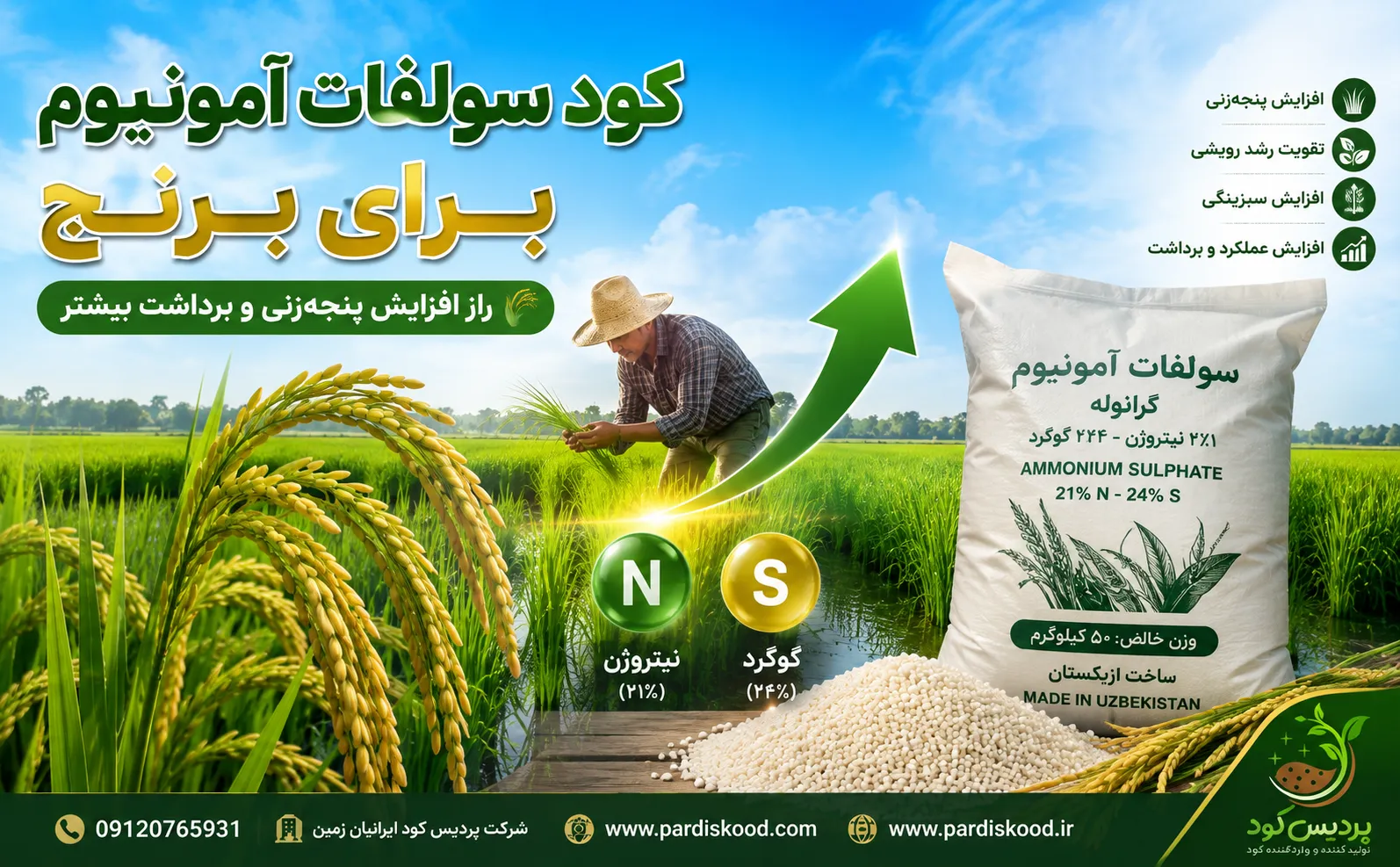 کود سولفات آمونیوم برای برنج