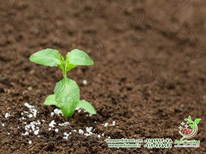 نحوه مصرف و میزان مصرف گوگرد کشاورزی بنتونیت دار ۷۵ درصد گرانوله