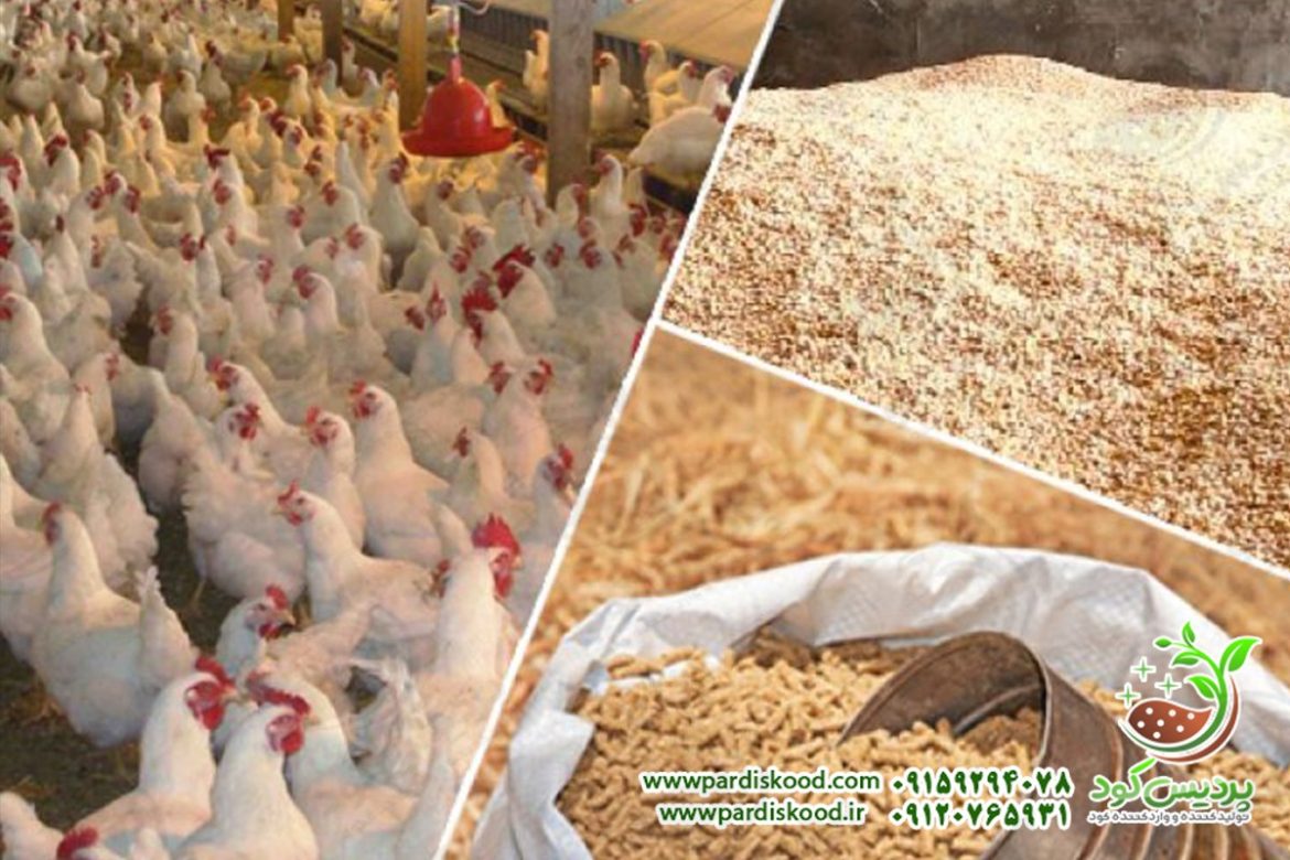 خرید کود پلیت مرغی برای گندم با کیفیت درجه یک و قیمت ارزان