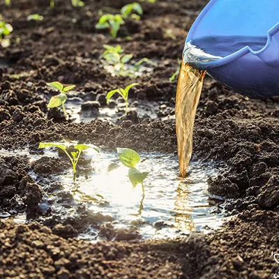 کودهیومیک اسید مایع