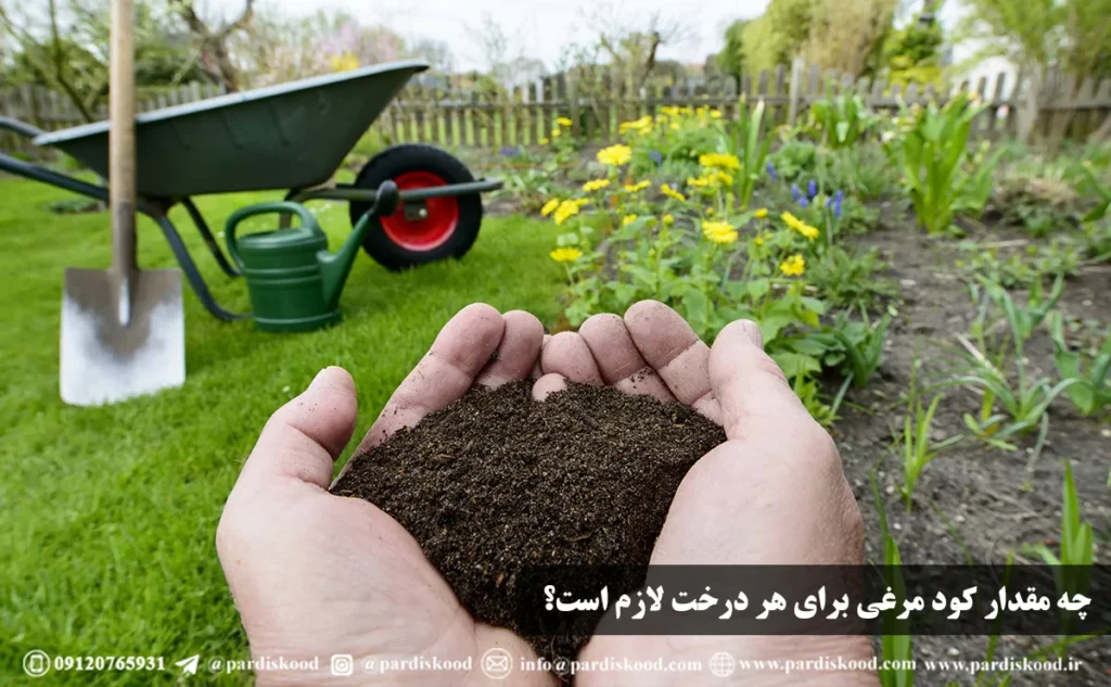 چه مقدار کود مرغی برای هر درخت لازم است؟