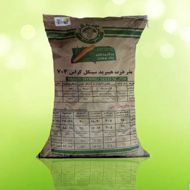 بذر ذرت 704 برگزیدگان مغان